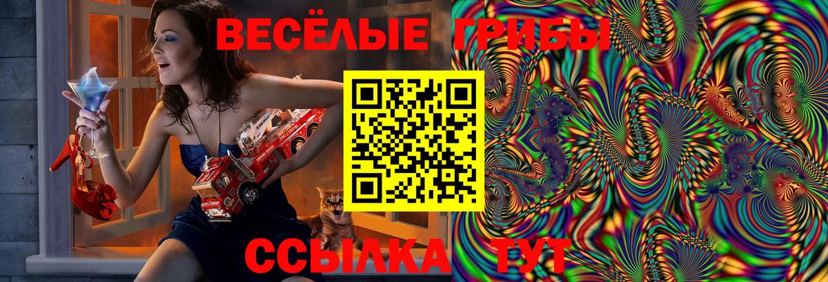 Галлюциногенные грибы Cubensis  Галлюциногенные грибы мицелий  Вход с VPN  Кушва 